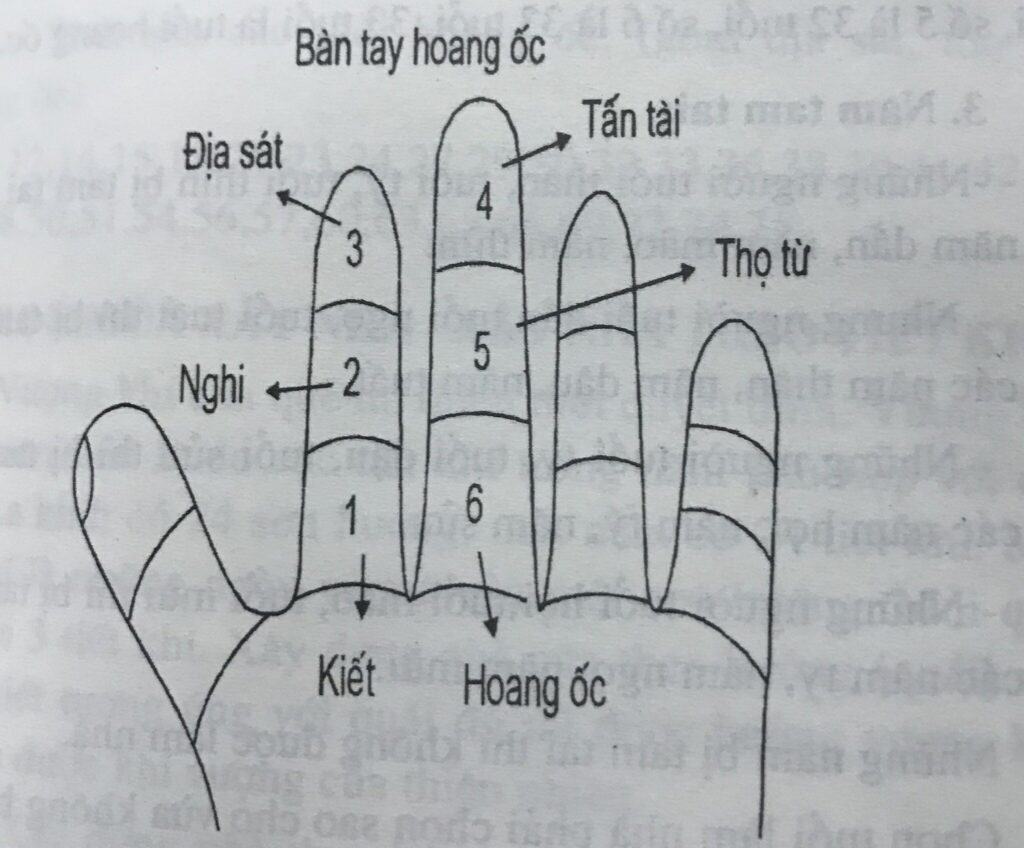 cach-tinh-hoang-oc-lam-nha