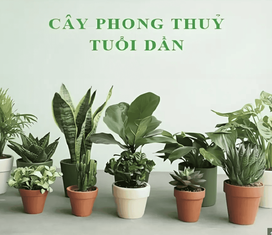 nguoi-tuoi-dan-nen-trong-cay-nao