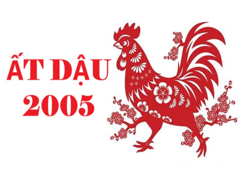 tuoi-at-dau-2005-la-menh-gi