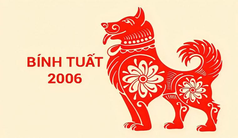 tuoi-binh-tuat-2006-la-menh-gi