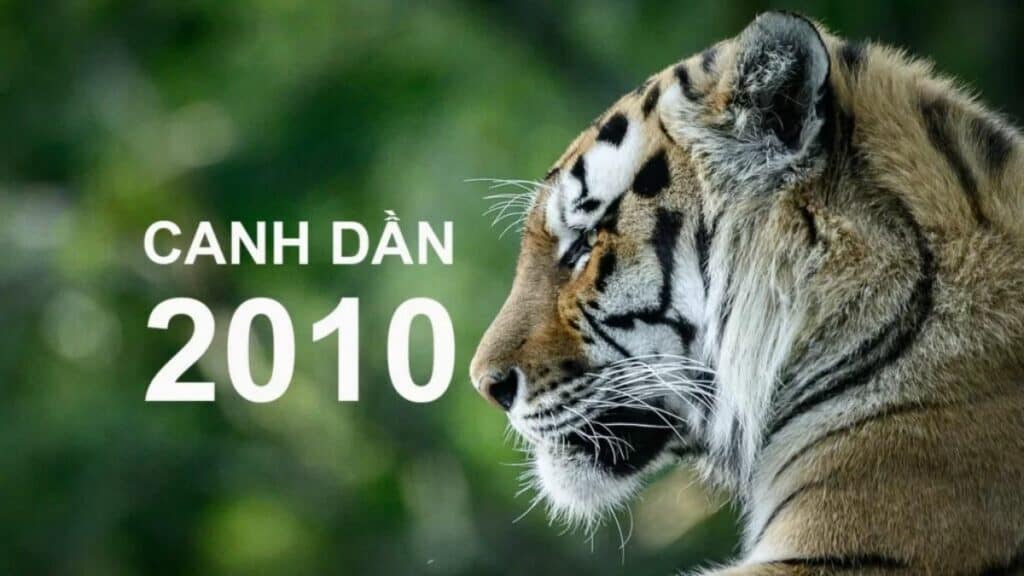 tuoi-canh-dan-2010-la-menh-gi