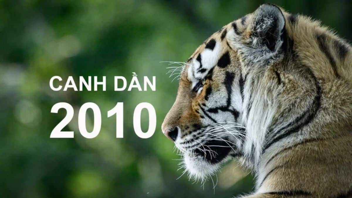 tuoi-canh-dan-2010-la-menh-gi