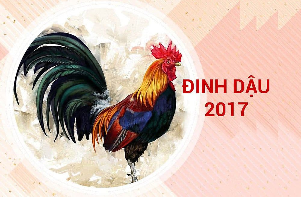 tuoi-dinh-dau-sinh-nam-2017-la-menh-gi1