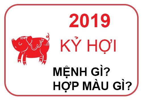 tuoi-ky-hoi-sinh-nam-2019-la-menh-gi