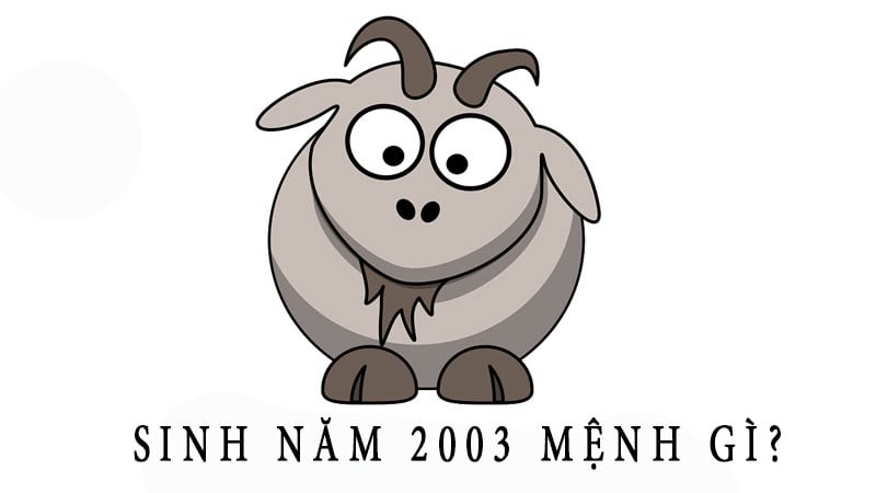 tuoi-quy-mui-sinh-nam-2003-la-menh1