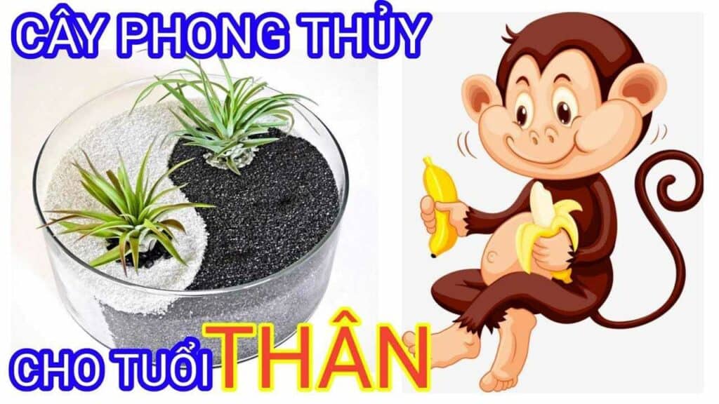 cay-phong-thuy-hop-voi-tuoi-than